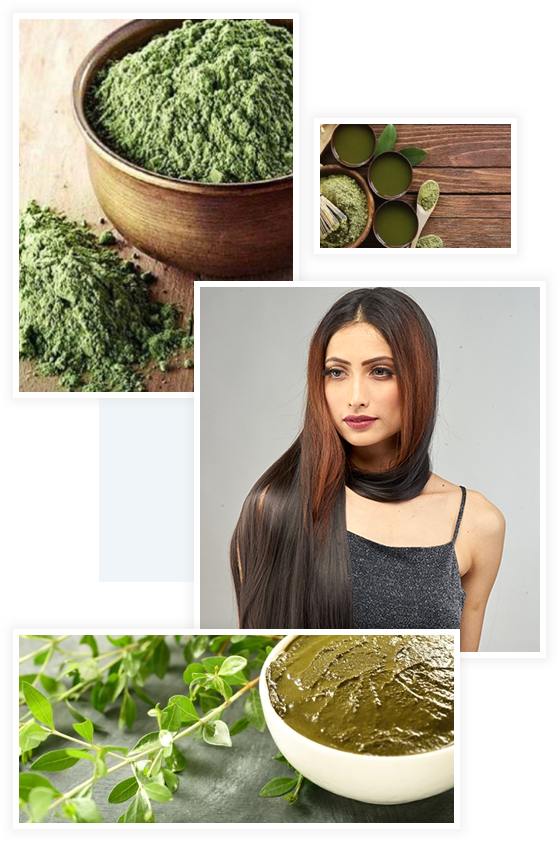 About Henna About Henna